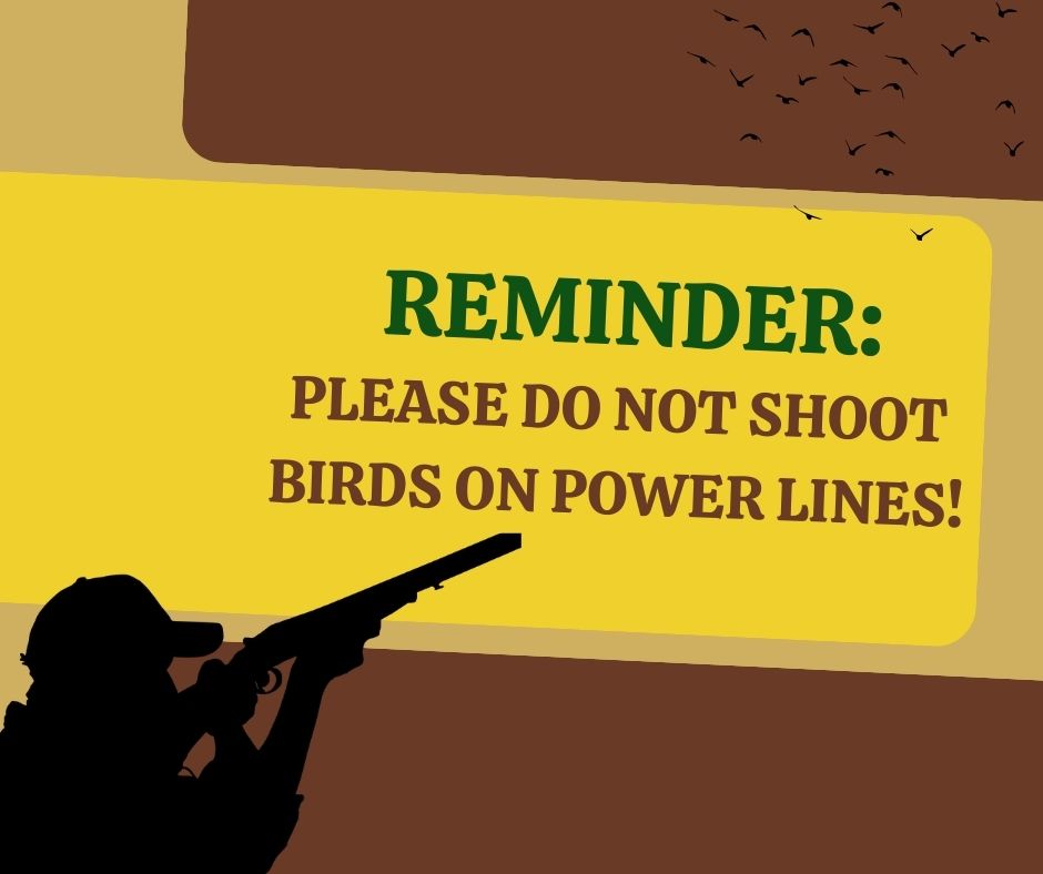 Photo for Satilla REMC would like to remind dove hunters not to shoot at power and fiber lines. 